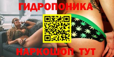 ешки Новокубанск