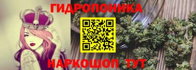 наркотики Новодвинск