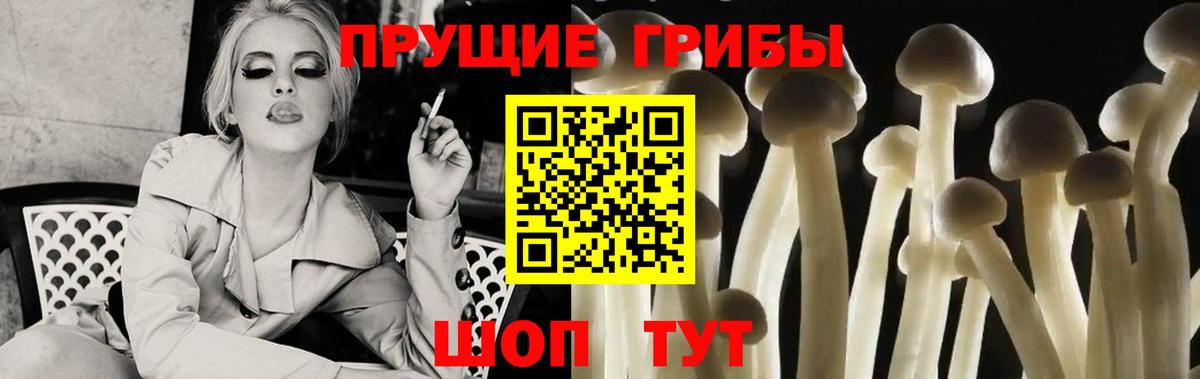 Сызрань  как найти закладки  Вход с VPN  Галлюциногенные грибы Cubensis  Галлюциногенные грибы Psilocybine cubensis 